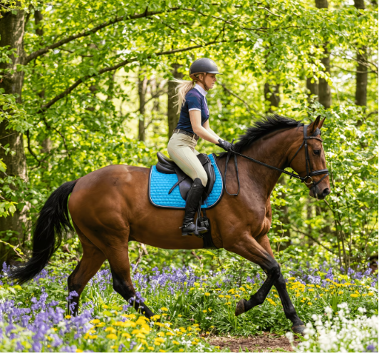 Quilted Bubble Saddle Pad – Full/Large